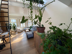 spacious loft-room, with a mezzanine bedroom.<br />important to know before you  Antwerpen, Belgium Spacious loft in a shared house Private room in home vacation rental 52403814