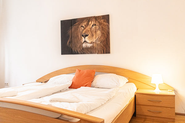 Eine hübsche und geräumige Wohnung im Herzen Wiens mitten im Botschaftsviertel.   Comfortable 3BR -Belvedere -Bookable for longstays Entire rental unit vacation rental 52769614