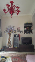 sweat cosy flat close to all attractions and main interests. Private, cozy doubl Athens, Attica, Greece Sunny Sepolia 1st Floor Private room in rental unit vacation rental 12023315