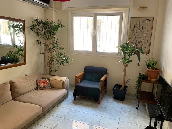 Take an early morning stroll in the tree filled park that wraps around the stadi GR Peaceful central apt. next to kalimarmaro stadium Entire rental unit vacation rental 50476964