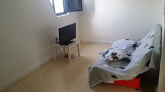 un joli appartement de 37 m² au cœur de paris <br />spacieux , très lumineux , s Paris, France un appartement au paris 19em Entire rental unit vacation rental 7139523