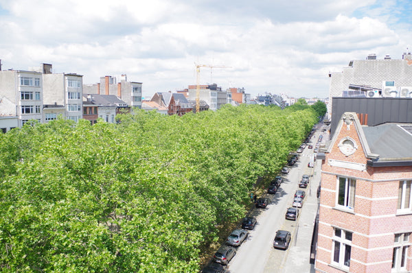 This sunny and spacious apartment on the 6th floor offers stunning views over An  Spacious and sunny penthouse w/city view [South] Entire rental unit vacation rental 38271062