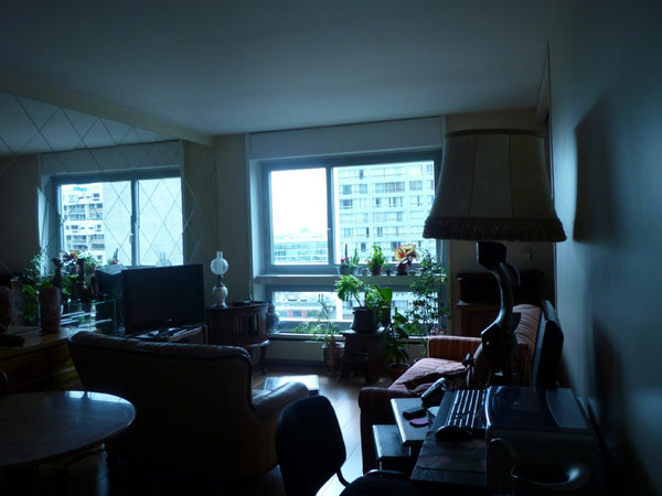 Mon logement est proche de La Tour Eiffel. Il se situe au 13ème étage d'un immeu  Proche de la Tour Eiffel, appartement agréable Entire rental unit vacation rental 13767294