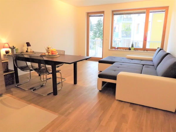 The luxury apartment in the nature environment with excellent accessibility to t  Luxurious flat in historical nature part of Prague Entire rental unit vacation rental 22133048