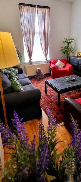 Situated in the chic area of Schaarbeek, the 55 sq. m  studio is located nearby  Brussels, Belgium Bright and quiet studio near Nato Entire rental unit vacation rental 32075644
