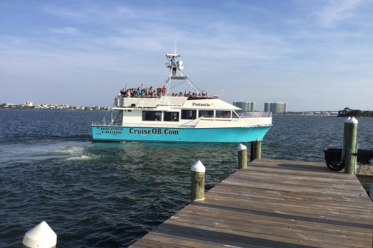 Alabama Gulf Coast Dolphin Cruise  Private Tours and Travel Guide America Chicago CITY Orange Beach Destination Tour