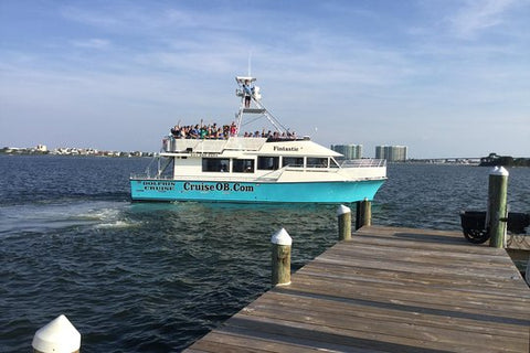 Alabama Gulf Coast Dolphin Cruise  Private Tours and Travel Guide America Chicago CITY Orange Beach Destination Tour America Chicago CITY Orange Beach