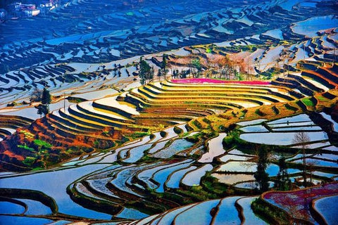 2 Day Private Transfer Service to Yuanyang Rice Terrace from Kunming  Private Tours and Travel Guide Asia Shanghai CITY Kunming Destination Tour Asia Shanghai CITY Kunming