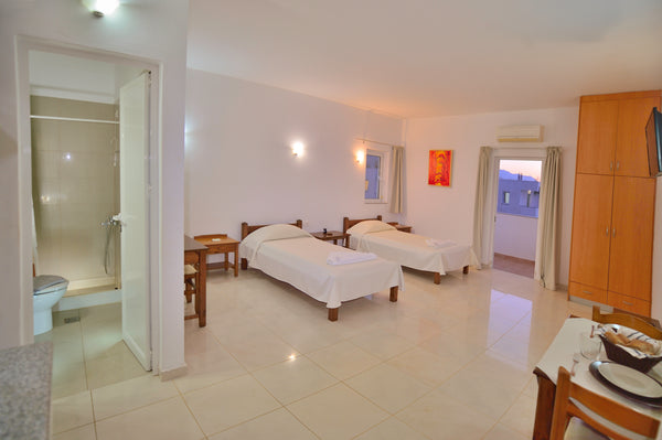 This is a unique-space studio of about 40 square meters, with a bathroom. There  Athens, Greece Twin Studio on Ground Floor - Reina Apartments Entire condo vacation rental 663163243183168174