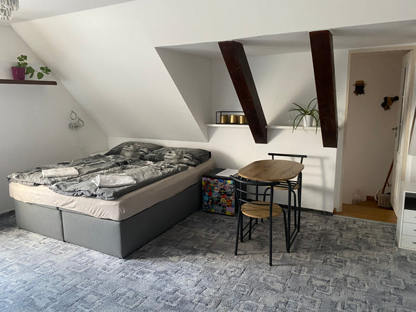 V domě také bydlím, takže v případě, že host něco potřebuje, snažím se pomoci, p Zdiby, Czechia Homestay u Hanky Private room in home vacation rental 38639994