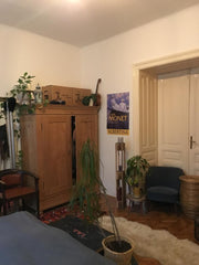 Mein bzw. dein/euer Zimmer befindet sich im Hinterhof und ist dementsprechend se Vienna, Austria ruhiges und gemütliches Zimmer im 7. Bezirk Private room in rental unit vacation rental 29841185