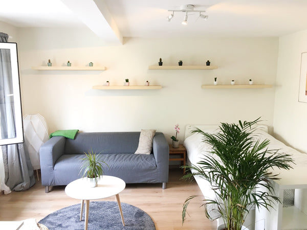 Located between the Place Flagey and the Place Jourdan, our studio of 40 m2 can  Brussels, Belgium Charming Studio - EU District /Place Jourdan 2 Entire rental unit vacation rental 24071175