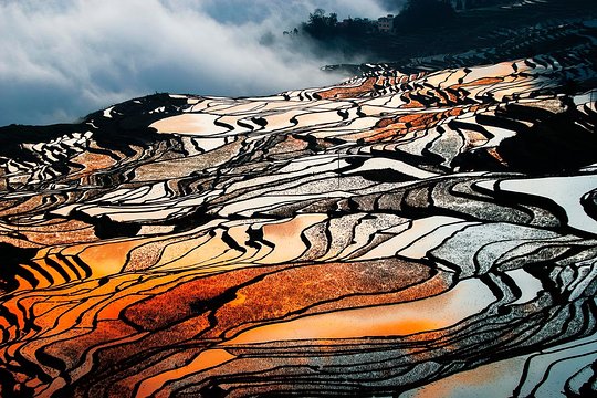 2 Day Private Tour to Stone Forest and Yuanyang Rice Terrace from Kunming  Private Tours and Travel Guide Asia Shanghai CITY Kunming Destination Tour