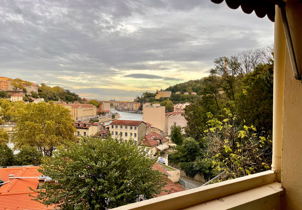 Appartement entièrement meublé 40m2 situé au 13 Montée de l’Observance 69009 Lyo Lyon, France Appartement T2 avec vue Saône Entire rental unit vacation rental 48003832