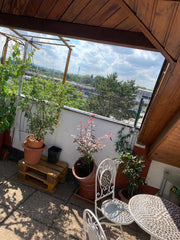 Dachgeschosswohnung 73 m2, mit 2 separaten Zimmern, Wohnzimmer, kleine Küche, 1   schönes Zimmer in 2er WG Private room in condo vacation rental 658608340952465625