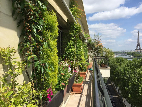 This fantastic appartment is located on the heights of the Seine's docks trees n Paris, France Sunny, Vegetal & Spacious appartment with THE view Entire rental unit vacation rental 28822869