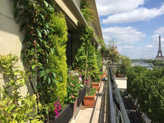 This fantastic appartment is located on the heights of the Seine's docks trees n Paris, France Sunny, Vegetal & Spacious appartment with THE view Entire rental unit vacation rental 28822869