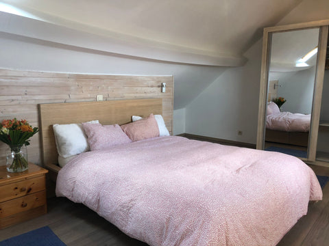 Beautiful duplex apartment in the heart of Brussels with a large terrace with vi Brussels, Belgium Beautiful Duplex Apartment with Terrace Entire rental unit vacation rental 50169556