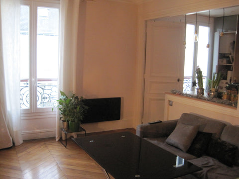 Appartement Haussmannien c'est mon lieu de vie, très calme, idéalement situé, pr  Appartement calme au coeur de Paris Entire rental unit vacation rental 9323943