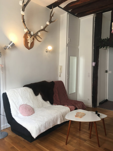 Studio in the heart of Paris on the edges of the Seine, next to Notre-Dame, next Hauts-de-France, France Studio Cosy in Latin Quarter Entire loft vacation rental 4845696