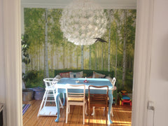 Situated in the calm and green part of Vesterbro with Playgrounds, two green and Copenhagen, Denmark Bright and cozy apartment in Copenhagen Entire rental unit vacation rental 3465989