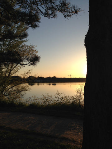 Bienvenue dans une maison de ville  à 15 min en tram du centre de Bordeaux. Situ Bordeaux, France Maison Bordeaux Lac, proche tramway et stade Entire townhouse vacation rental 35346281