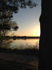 Bienvenue dans une maison de ville  à 15 min en tram du centre de Bordeaux. Situ Bordeaux, France Maison Bordeaux Lac, proche tramway et stade Entire townhouse vacation rental 35346281