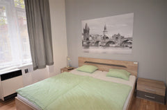 Bright private room for 2 persons with king size double bed. The room is a part  Prague, Czechia R2: Bright private room for 2 Private room in serviced apartment vacation rental 51036777