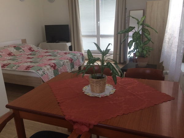 This fabulous property has it all! Comfortable 1 bedroom newly renovated apartme Prague, Czechia Flat with terrace, privat parking, air condition Entire condo vacation rental 16485798