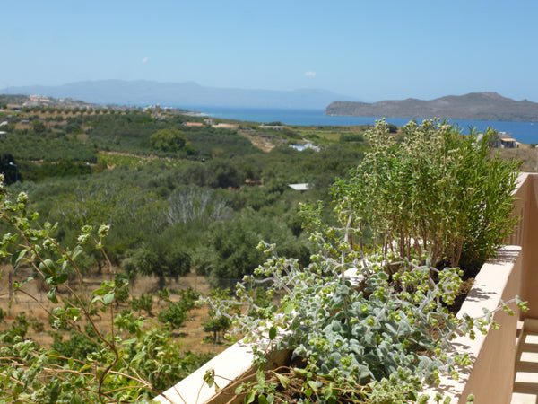 Located on a hill among lush greenery, Romanza just 400 m from the sea in Kalama Galatas, Greece Romanza Seaview apartment III Entire serviced apartment vacation rental 19027010