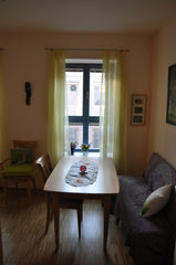 Ich biete ein sonniges Zimmer in ruhiger Lage in Zentrumsnähe. Es ist ein eigene Vienna, Austria sonniges Zimmer inkl eigener Dusche Private room in rental unit vacation rental 10079374