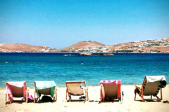 Nesο studio is surrounded by a beautiful garden, full of cappari plants, citrus, Greece Neso seafront studio Paros Cycladic home vacation rental 8301639