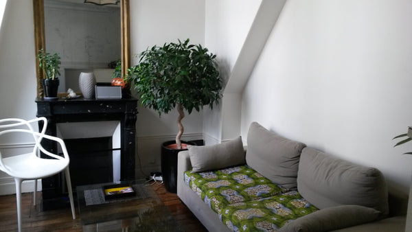 Charming haussmannien flat, 40m2, ideally located at 5 mn walking distance from  Paris, France Charming Parisian flat - Republique/Bastille Entire rental unit vacation rental 13825778