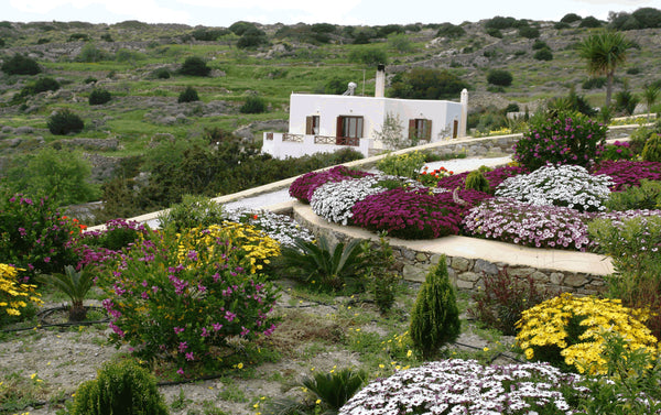 It is a very comfy room, with a private large, comfortable courtyard. You can en Greece Mallia luxury studio with view Entire guest suite vacation rental 17417571