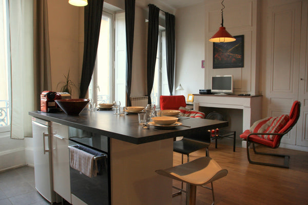 This bright one-bedroom furnished flat is just a short walk from the Fresque des Lyon, France Comfy flat working area place Sathonay-A'Ambiance Entire rental unit vacation rental 42403528