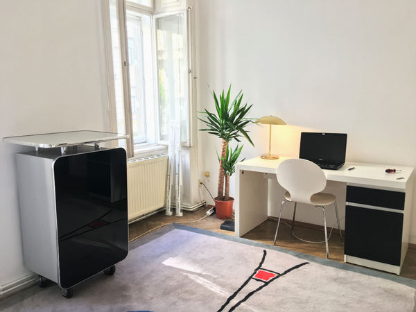 The apartment is simply beautiful in the way that it combines modern style with   Modern Prince charming's Dream Private room in rental unit vacation rental 40116298