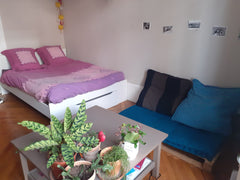 Chambre dans un appartement avec jardin ! Logement en colocation, dans un bel im Lyon, France Grande chambre dans appartement avec jardin Private room in rental unit vacation rental 52615828