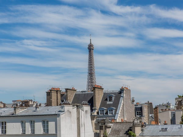 Paris 16th, through apartment, 8th floor, peaceful street, open view on both sid Paris, France Beautiful appart view Eiffel Tower Entire rental unit vacation rental 3323579
