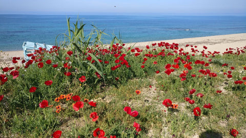 Αυτός ο αξιολάτρευτος χώρος διαμονής θα σας μαγέψει.Το σπίτι βρίσκεται 1500 μέτρ Greece Ένα δωμάτιο σε ήσυχο σπίτι στην εξοχή!!! Private room in bed and breakfast vacation rental 622959439800885195