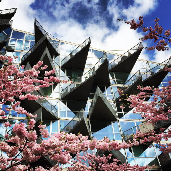 Ever wanted to stay in one of Bjarke Ingels's architectural pearls? Now you have Copenhagen, Denmark Architectural living in Ørestad, CPH Entire condo vacation rental 3155395