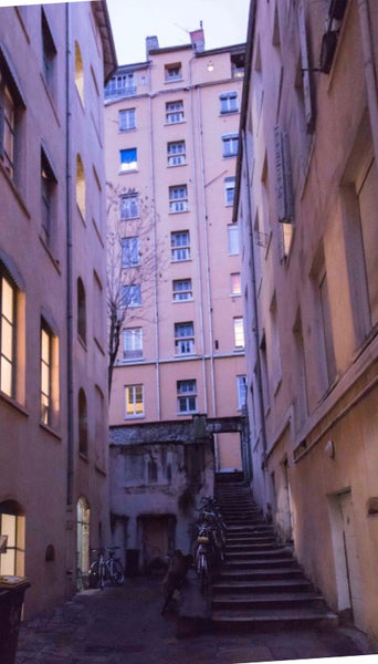 Studio de 28m², avec une chambre en mezzanine et un salon avec un canapé lit ; u Lyon, France Studio charmant au coeur de Lyon Entire rental unit vacation rental 40221992