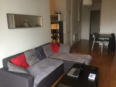 Appartement cosy à 10 minutes de l'hypercentre de Lyon.<br /><br />Idéalement si Grenoble, France Cosy T2 - Idéal Fête des Lumières Entire rental unit vacation rental 21970707