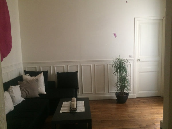 Appartement dans le 14ème, la chambre de mon colocataire est spacieuse, elle don Paris, France Un petit nid douillet parisien Private room in rental unit vacation rental 7339672