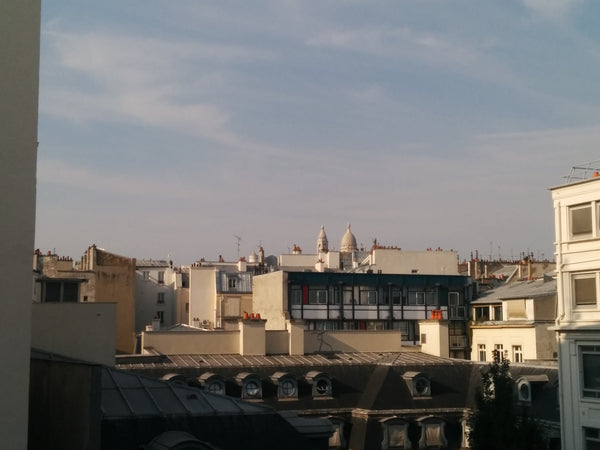 Entre le Moulin Rouge et les Galeries Lafayette, à 2 pas de la Trinité, cet appa Paris, France APARTMENT 54M2 NEAR MOULIN ROUGE Entire rental unit vacation rental 7066802