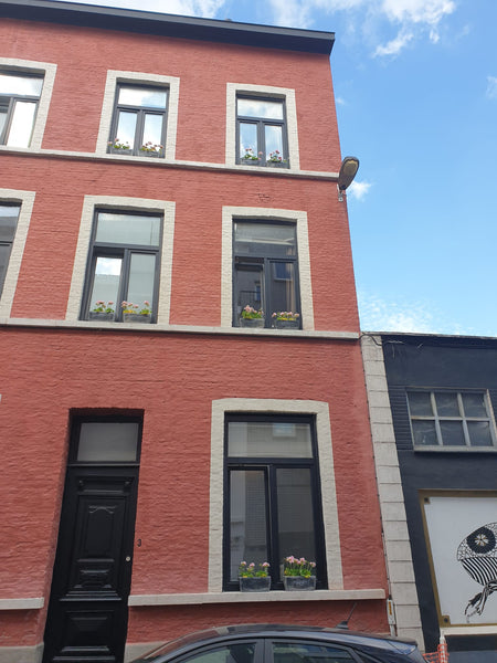 Dit rijhuisje heeft alles binnen handbereik! Deze woonst is gelegen in het hartj  Gezellig Rijhuisje in het hartje van stad Gent! Entire townhouse vacation rental 659306933679892049