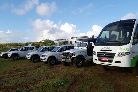 Fernando de Noronha Airport Shared Transfer Private Tours and Travel Guide America Noronha CITY Fernando de Noronha Destination Tour