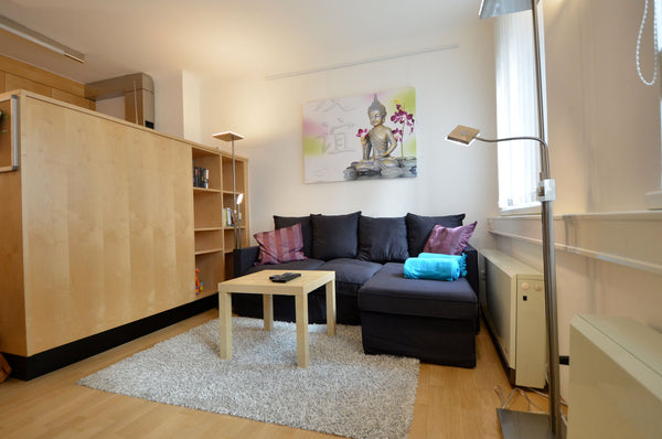 The modern equiped Apartment is located in Döbling, one of the nicest districts. Vienna, Austria 