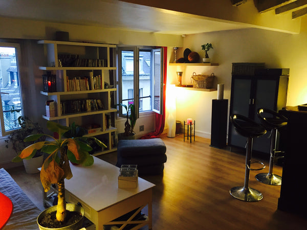 L'ambiance y est à la fois détendu et reposante. Des bougies, un bar, beaucoup d Paris, France Beau studio, bien situé ! Entire rental unit vacation rental 9719594