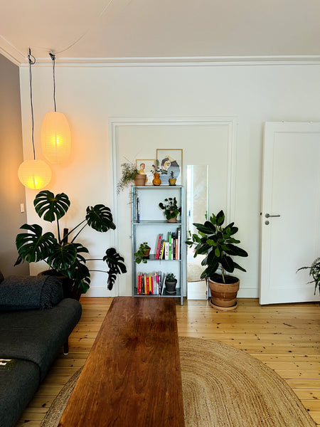 Denne skønne 3v lejlighed er beliggende i rolige omgivelser på Frederiksberg lig Copenhagen, Denmark Dejlig stor lejlighed på Frederiksberg Entire rental unit vacation rental 707705294037101579