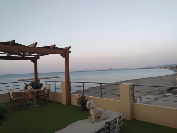 We have created a complex of 2 fully equipped apartments  and facilities that en Chania, Greece Xristinas Seaside House with Sea Views Entire rental unit vacation rental 49763201